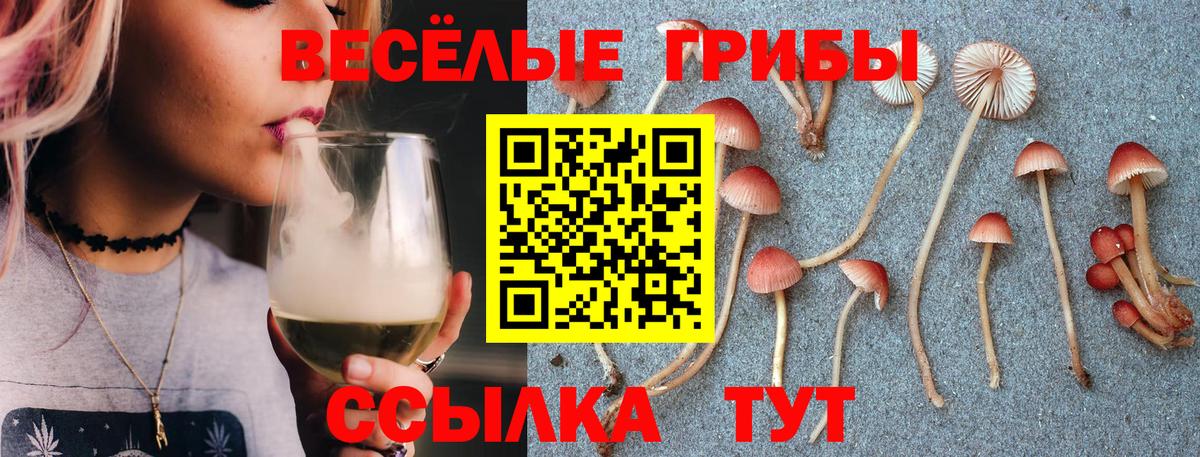 Галлюциногенные грибы Psilocybine cubensis Верхняя Пышма